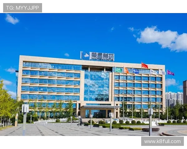 k8集团官网客户支持与常见问题解答全攻略为玩家解决后顾之忧